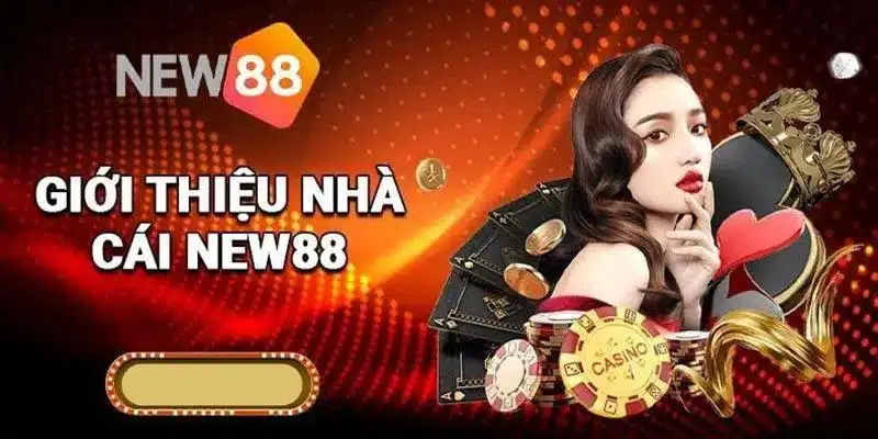 Thông tin tổng quan về kèo nhà cái chuẩn tại New88