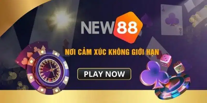 Nhiều lý do tạo nên sức hút thú vị kèo nhà cái chuẩn New88