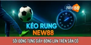 Cách Đọc Kèo Rung NEW88 Chuẩn Xác Nhất 2025 – Bí Kíp Bắt Cược Live Hiệu Quả